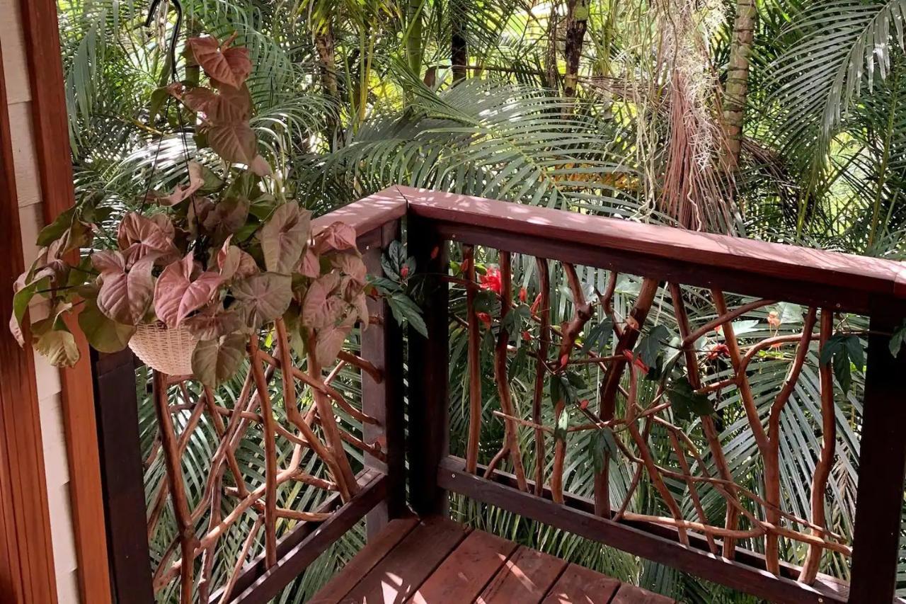 Phoenix Garden Pahoa Buitenkant foto