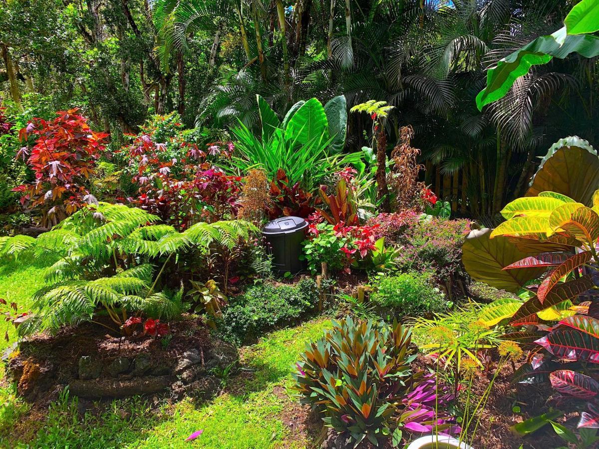 Phoenix Garden Pahoa Buitenkant foto