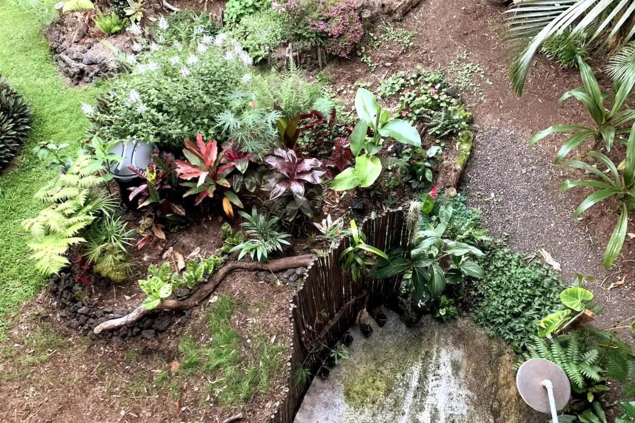 Phoenix Garden Pahoa Buitenkant foto